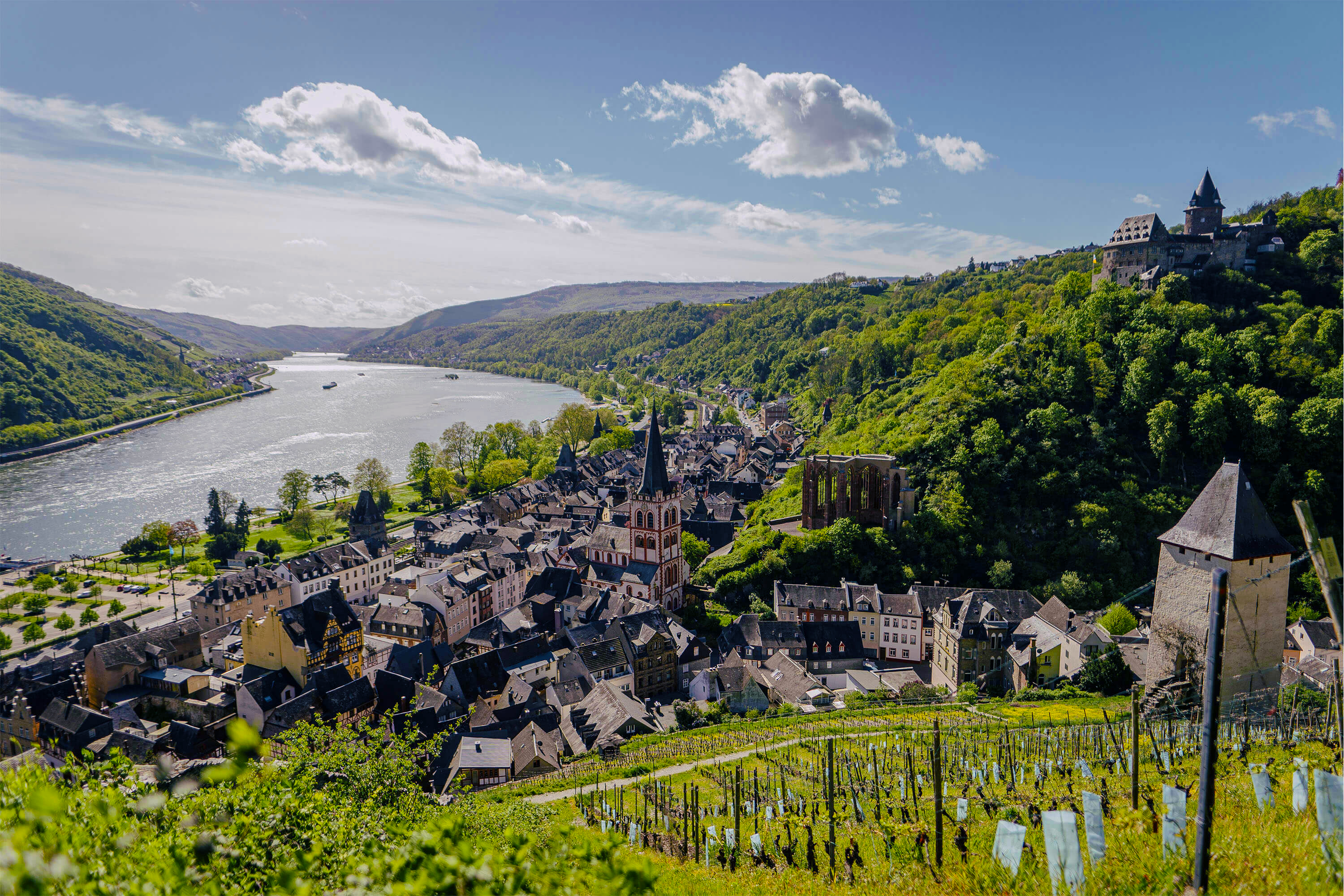 Weinberge und Fachwerkort am Fluss – WEINBÄR aus Freiburg